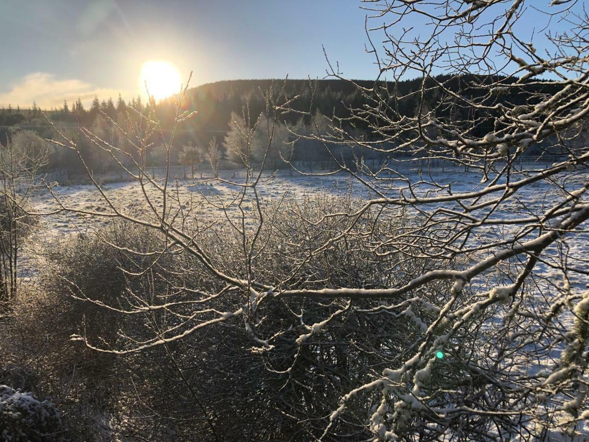 Tanar View * Aboyne